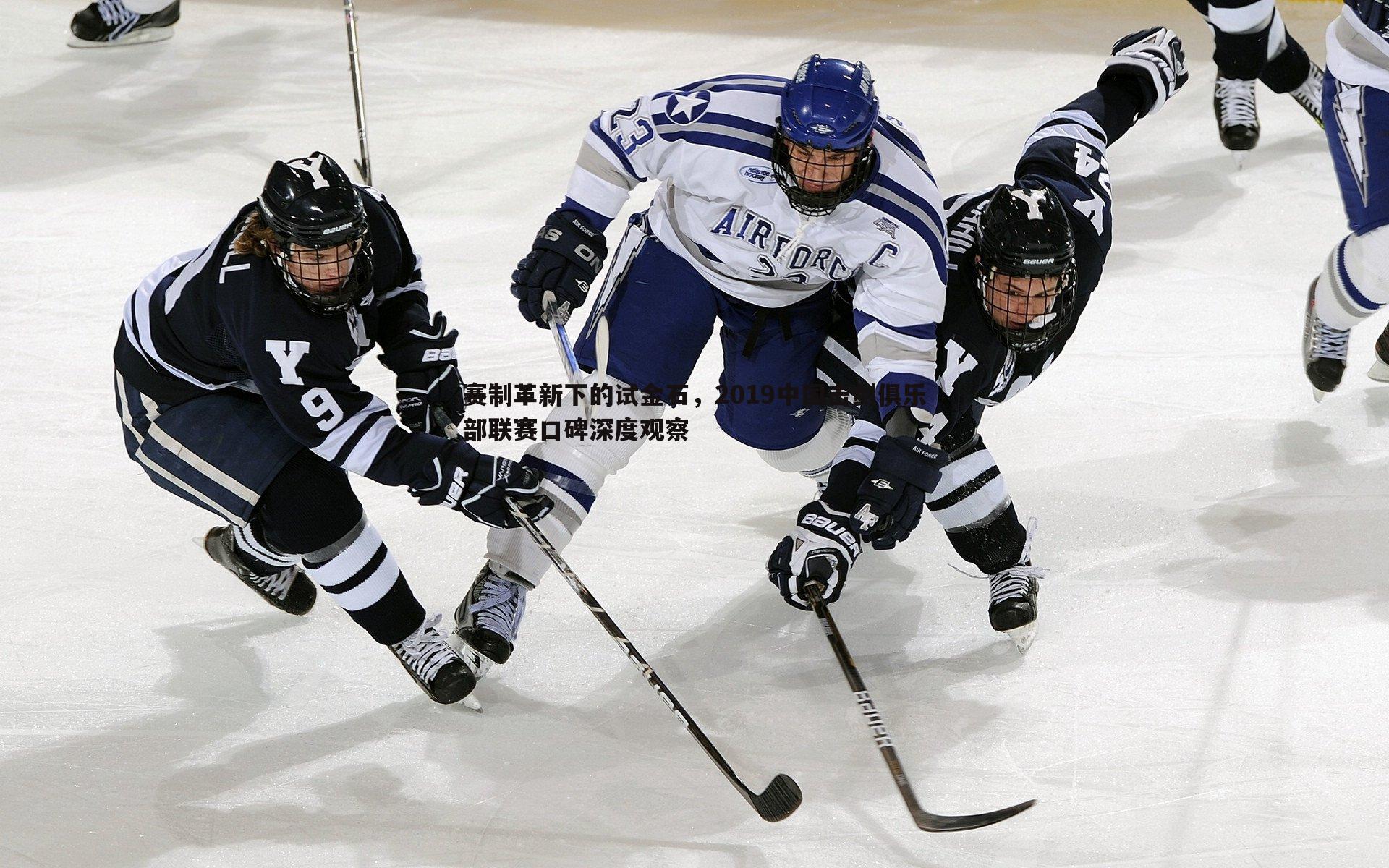 od体育-赛制革新下的试金石，2019中国击剑俱乐部联赛口碑深度观察