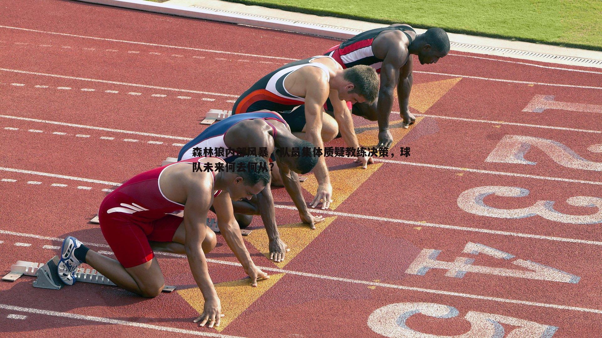 森林狼内部风暴,队员集体质疑教练决策,球队未来何去何从?